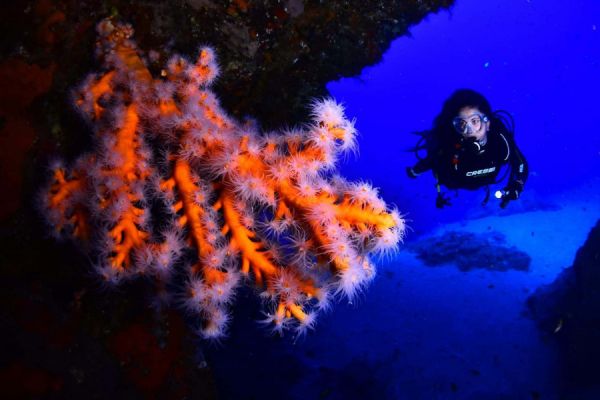 Scuba Diving Lanzarote