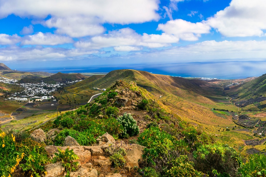 jameos-del-agua-and-north-tour_1