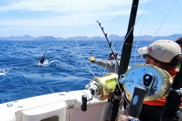 Pêche Lanzarote par jour