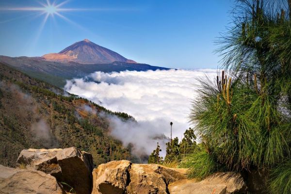 Teide Tenerife Tour Demi Day