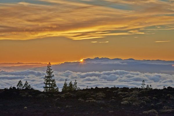 Teide De Nuit