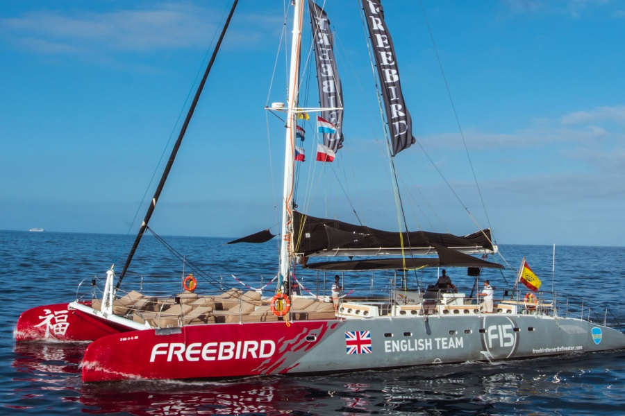 Excursions en bateau à Ténérife