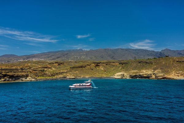 3 hrs Tenerife baleines et fun