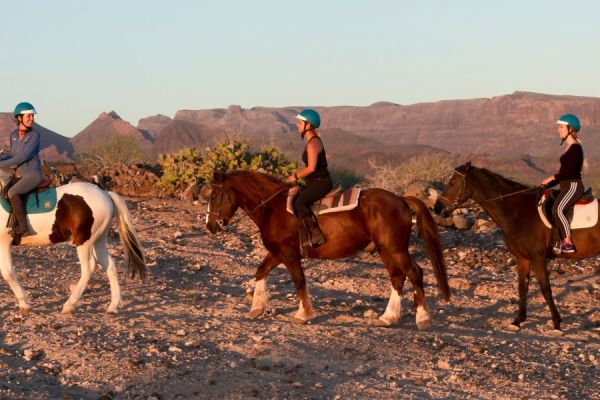 Equitation Gran Canaria 2 heures