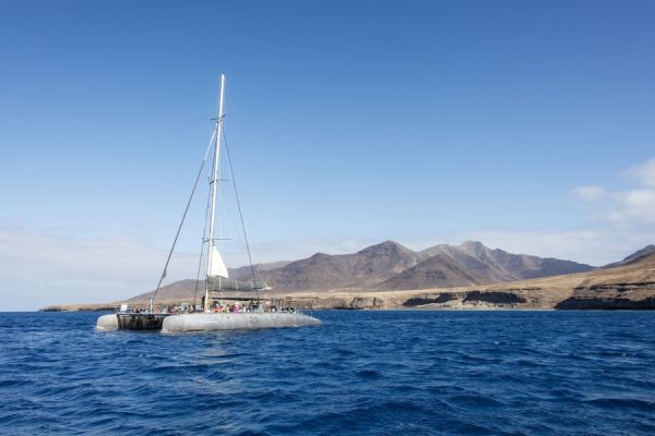 Trips de bateau Obycat Corralejo