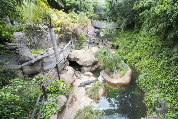 Parc Jungle et Aqualand Twin Ticket