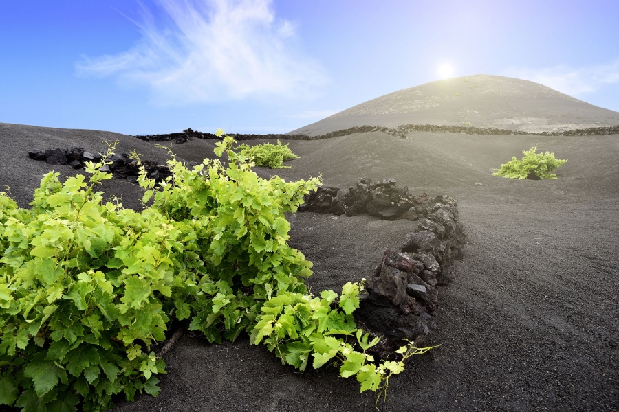 lanzarote-volcano-short-south-tour_2