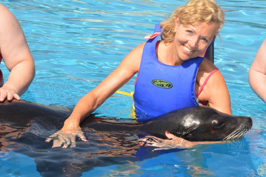 rancho-texas-swim-with-sea-lions_2