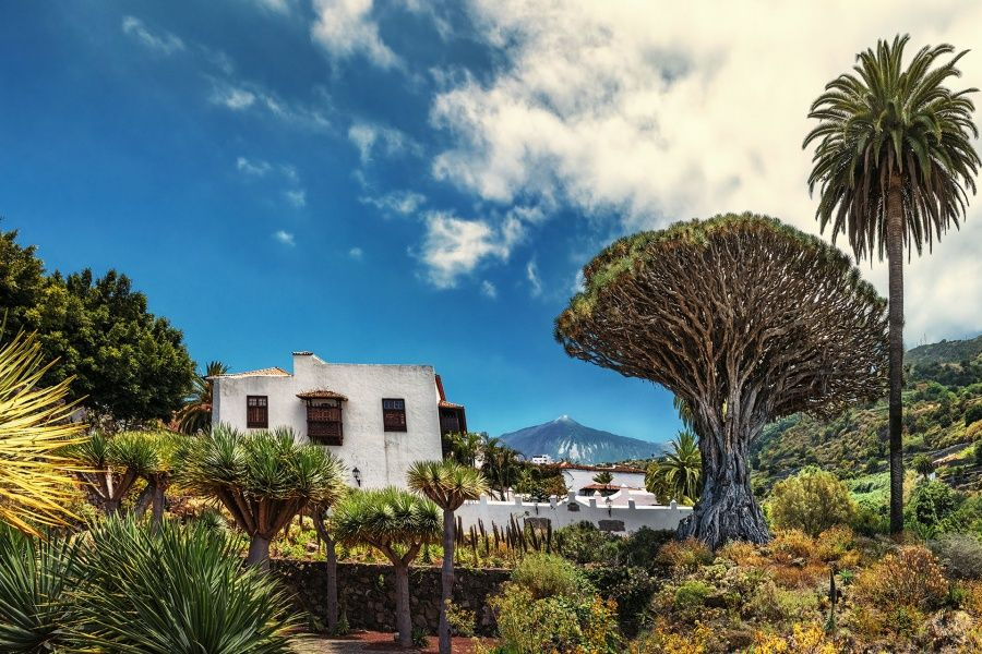 teide-tenerife-grand-tour2_l