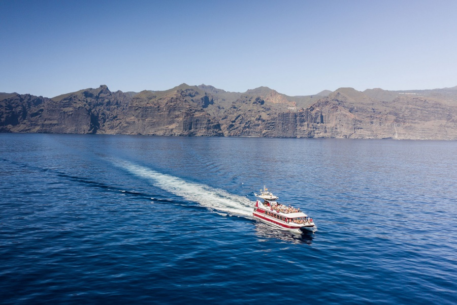 whale-watching-tenerife_4_l