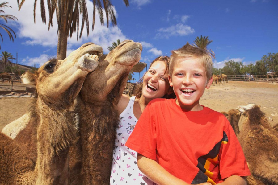 oasis-park-fuerteventura_2_l