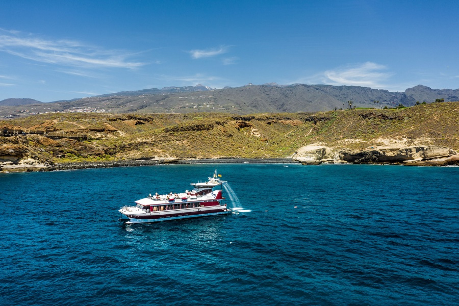 whale-watching-tenerife_3_l