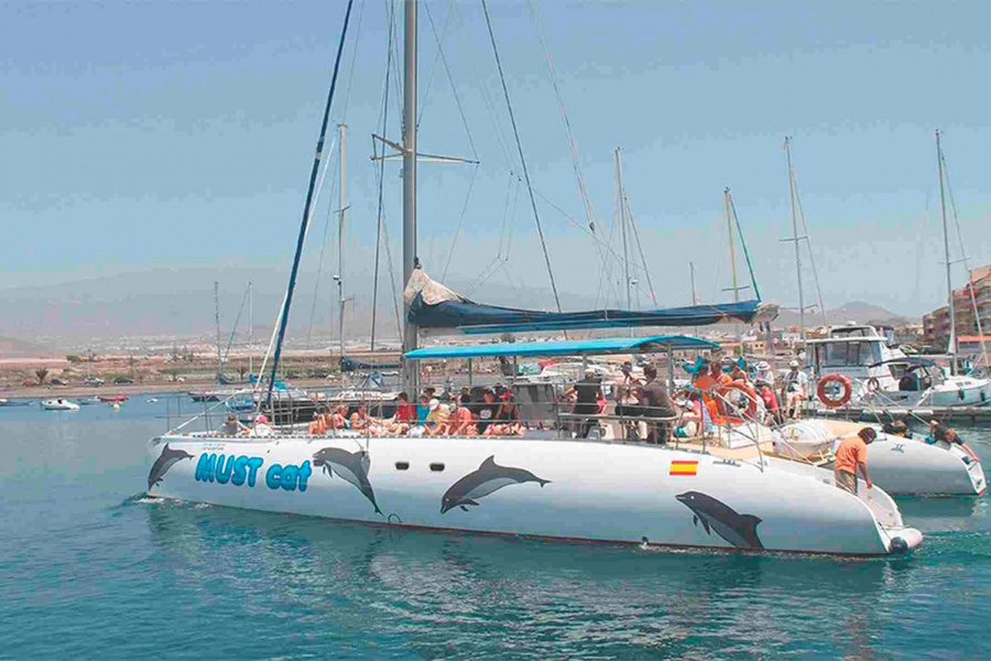 whale-watching-tenerife_2_l