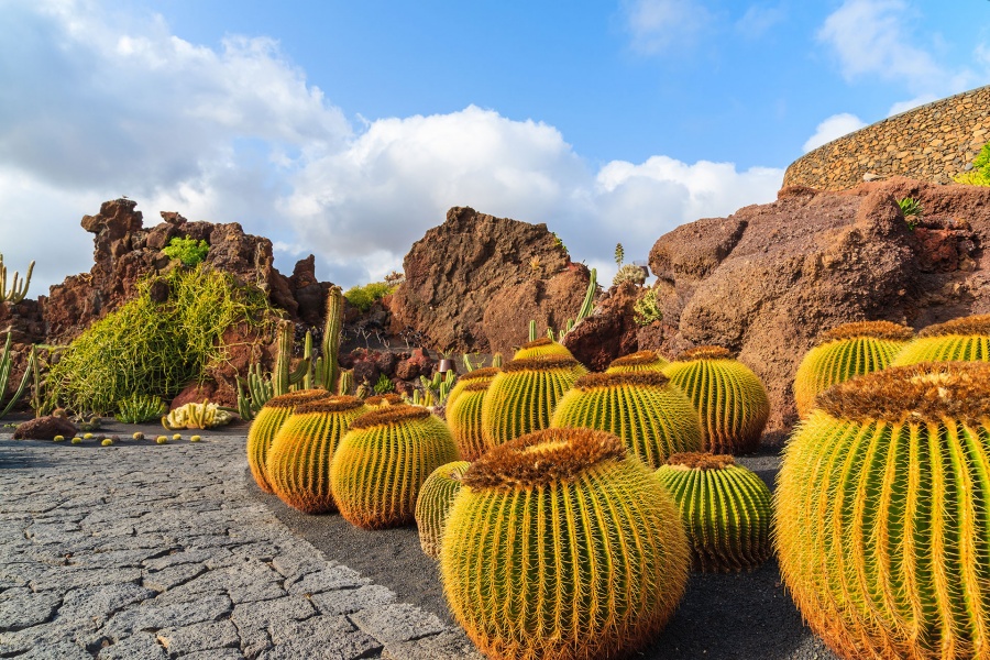 cesar-manrique-lanzarote-tour_3