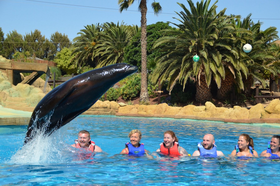 rancho-texas-swim-with-sea-lions_3