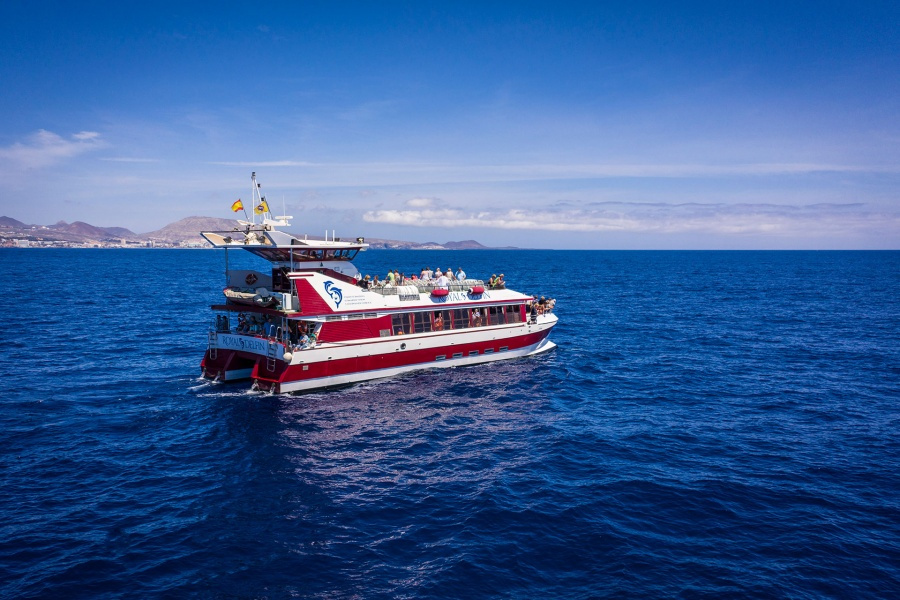 whale-watching-tenerife_6_l-1