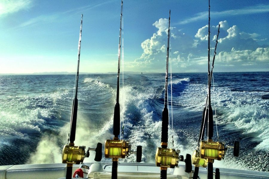 big-game-fishing-tenerife-excursion4_l