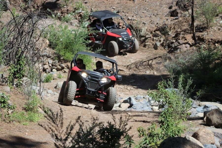 buggy-safari-tenerife2_l_l