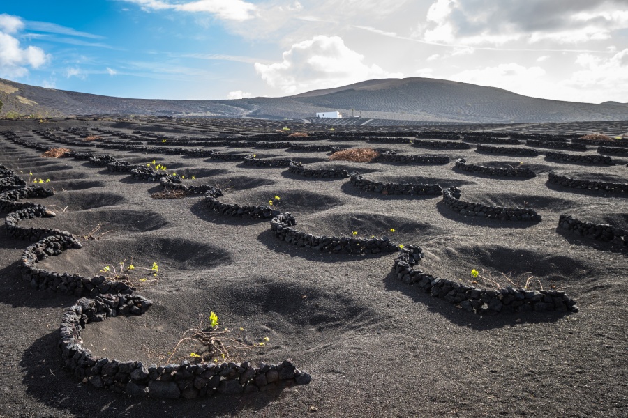 quads-lanzarote_5